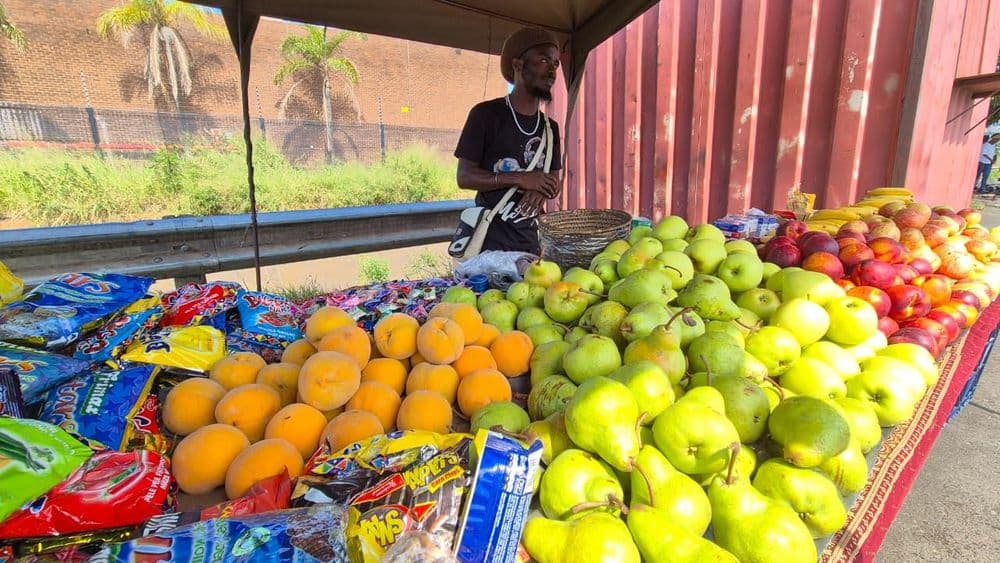 Durban Metro Police Target Black Vendors While Drug Crisis Rages