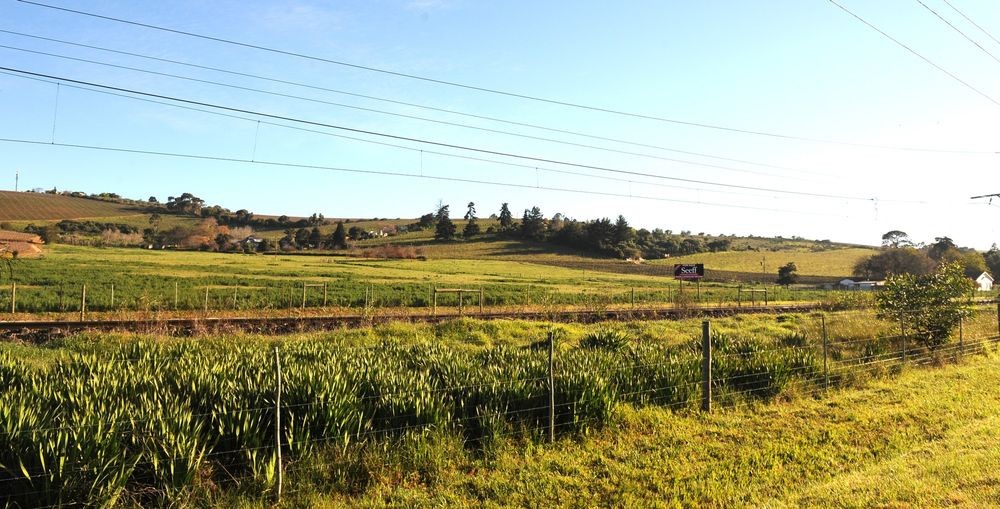 Digital platforms or digital divide? Who really benefits from agri-tech in South Africa