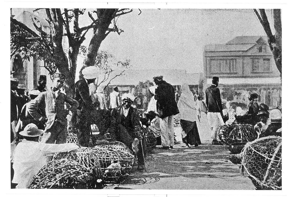Debt and Indenture: The Hidden Chains That Bound Indian South Africans
