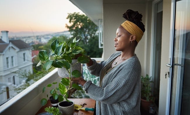 Gardening as a Radical Act of Healing for Black South Africans