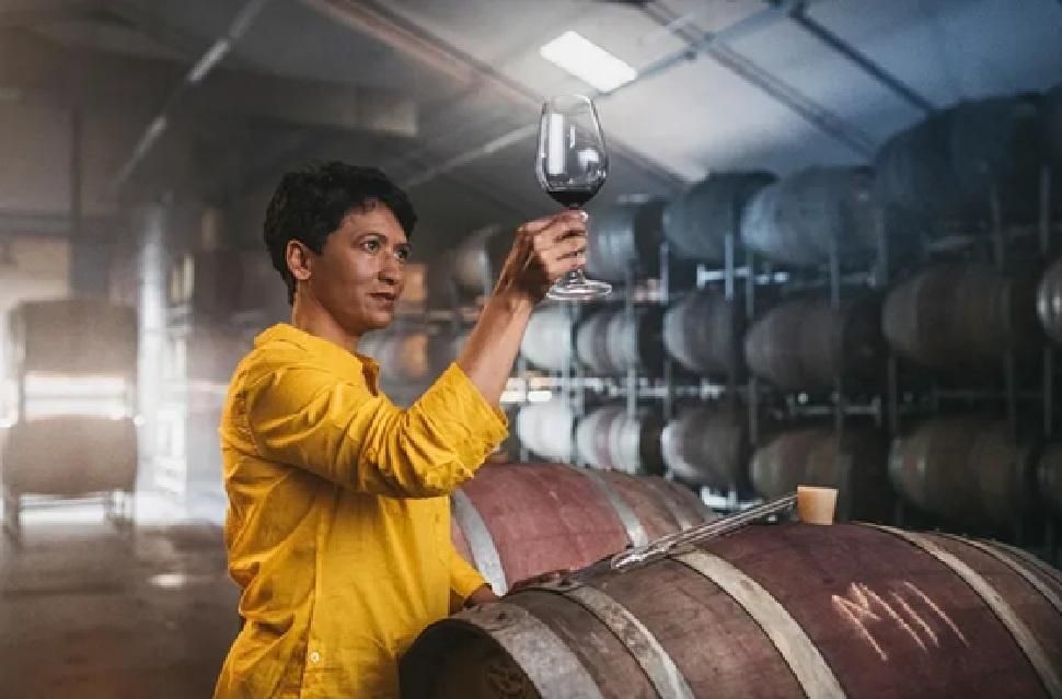 Women Hold the Grapes, But Not the Gold: Why Southern Africa’s Wine Industry Must Be Decolonised and Democratised