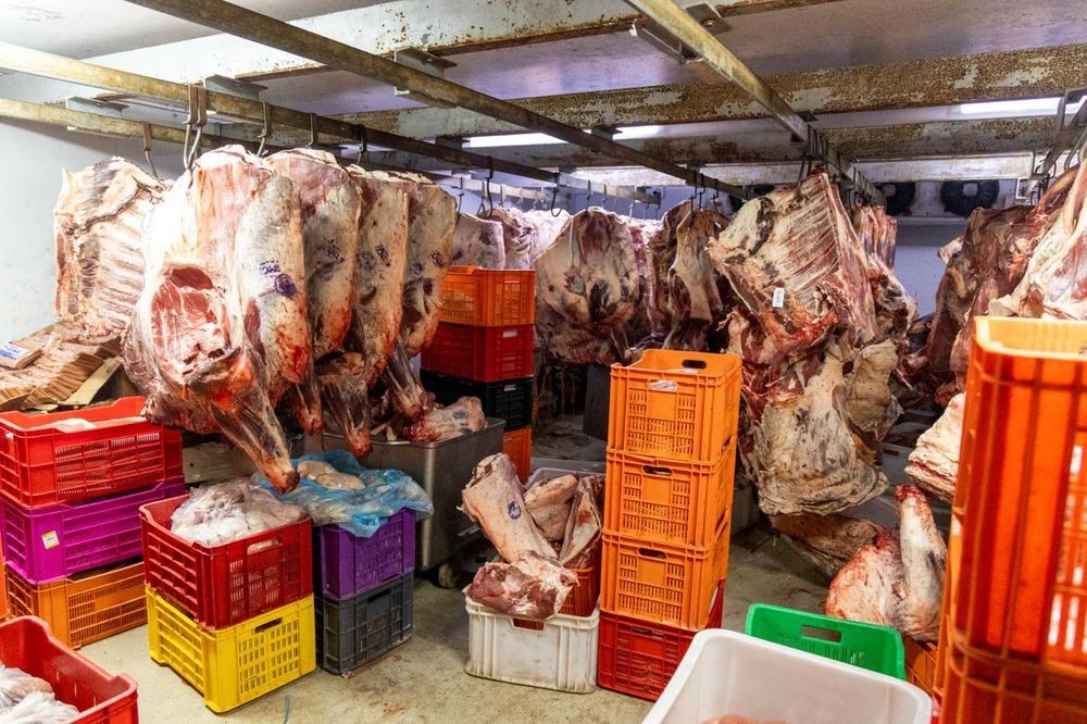 Jo'burg Butchery Shut Down: The Price of Exploiting Black Workers